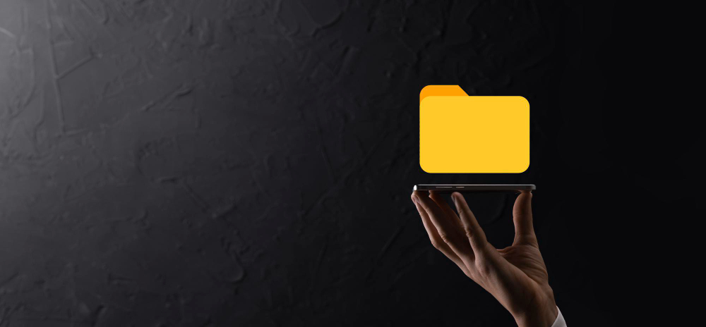 Check Downloaded Files and Storage