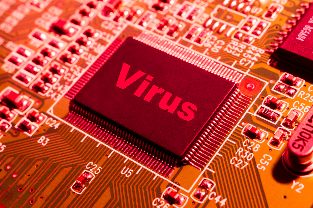 Historical Evolution and Trust