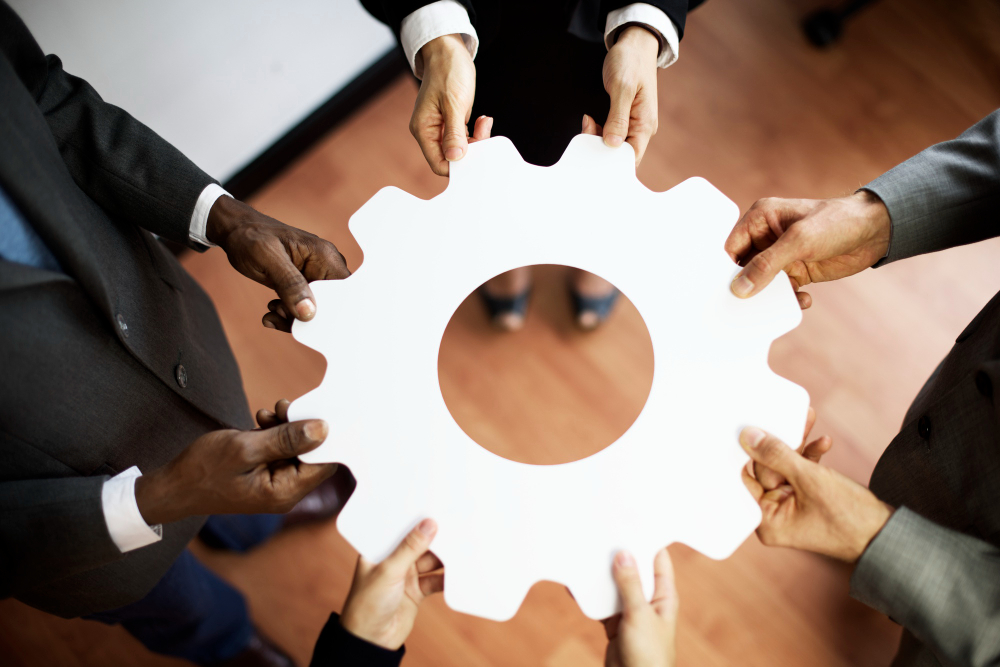 Identify Stakeholders and Requirements