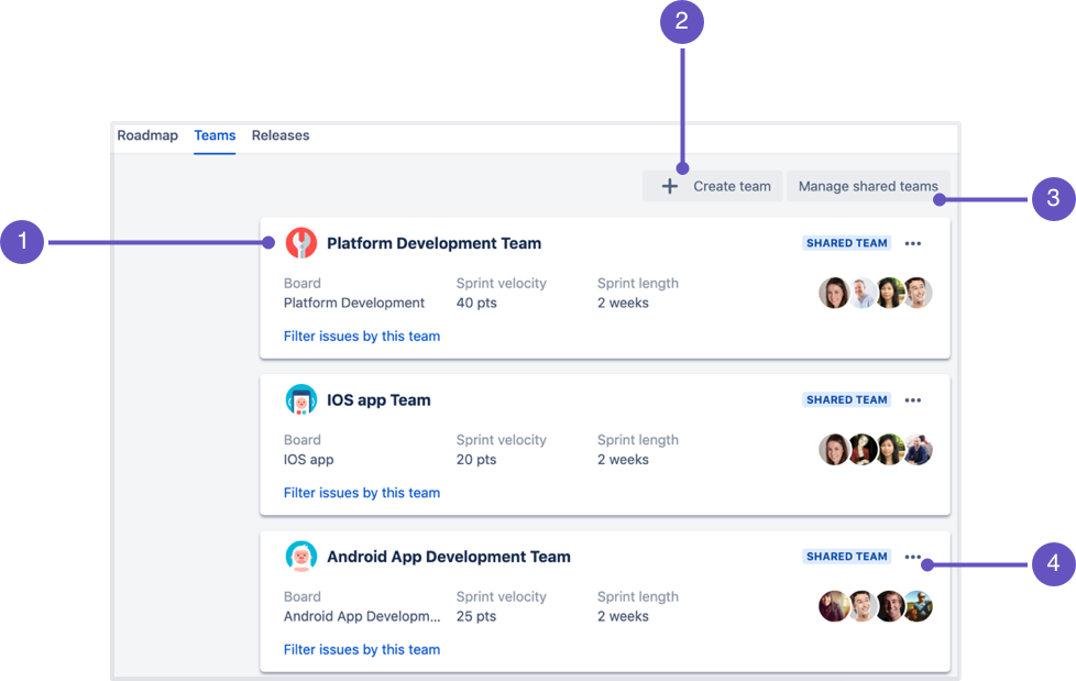 Managing Team Permissions jira
