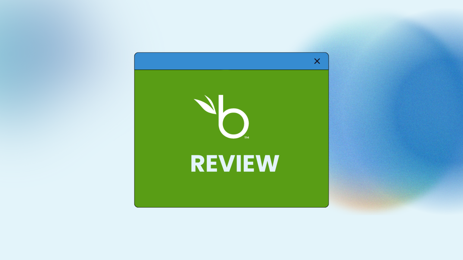 bamboohr review