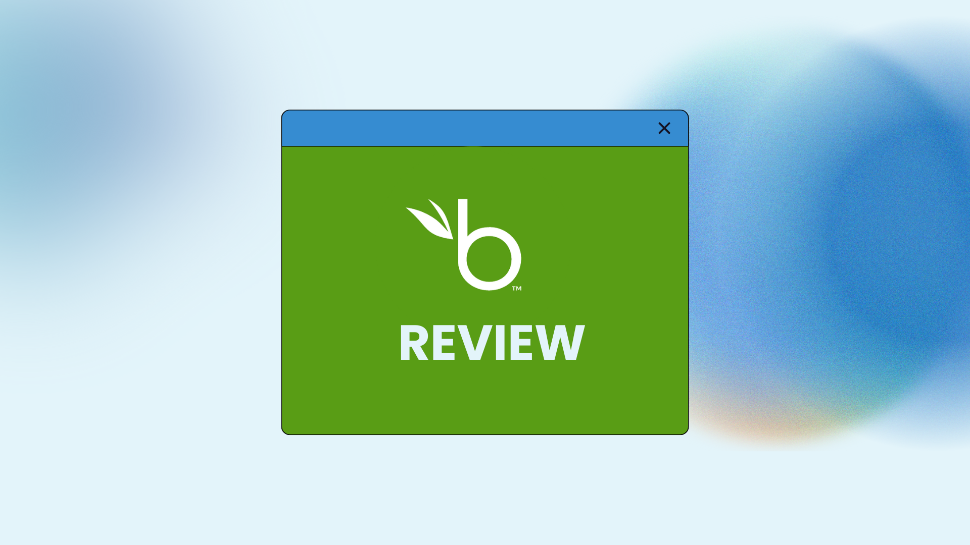 bamboohr review